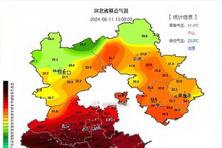 远藤航：情绪有些复杂因亚洲杯需暂离球队，胜纽卡为新年开了好头